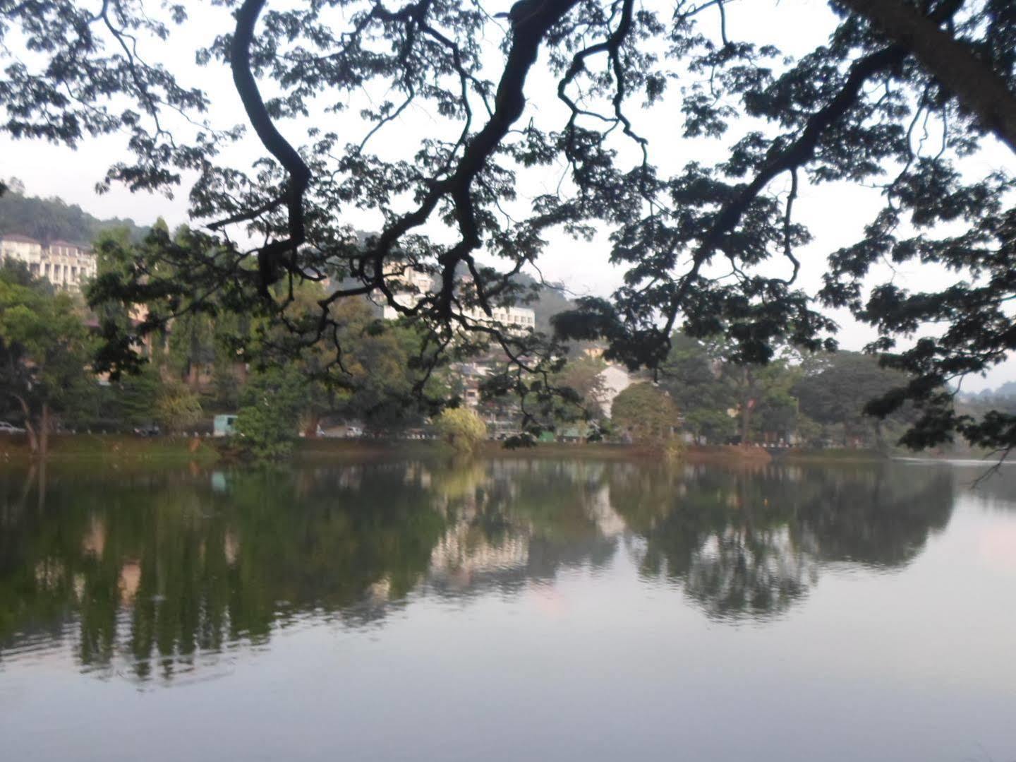 Kandy Green View Bungalow Dış mekan fotoğraf